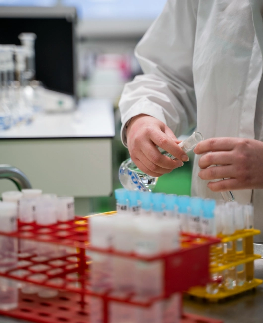 Rebirth Labs